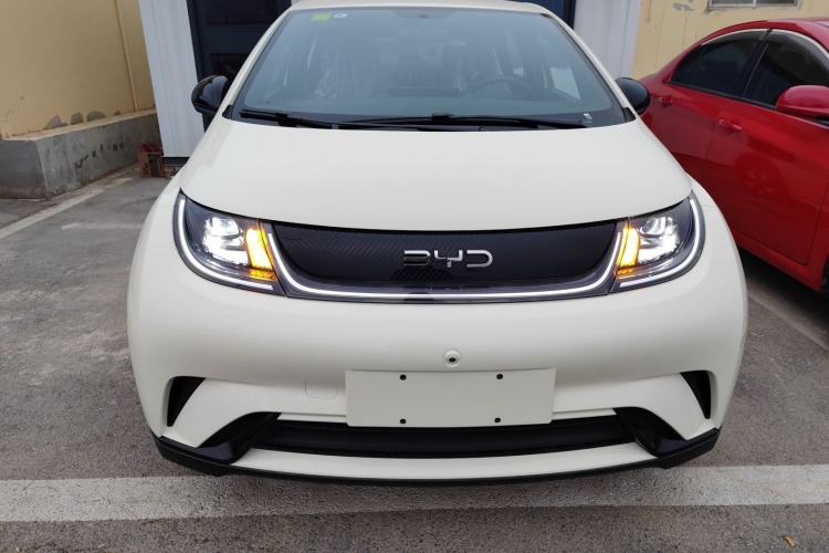Used BYD Dolphin 2025 420km Free Edition