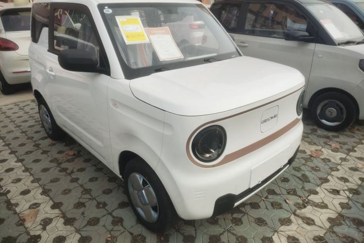 Used  Panda 2024 Panda Mini 200km Endurance Bear
