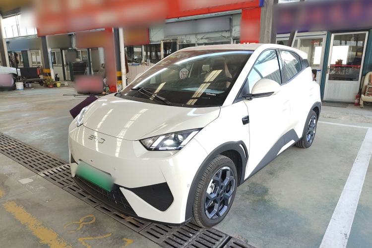 Used BYD Seagull 2025 Smart Drive Version 305 km Freedom Edition