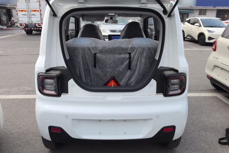 Used  Panda 2024 Panda Mini 200km Endurance Bear
