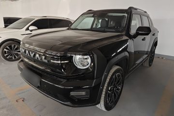 Used Haval H Dog New Energy 