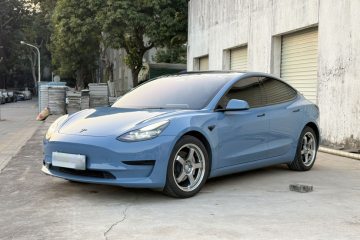 Used Tesla Model 3 2021 Revised Version Standard Range Rear-Wheel Drive Upgraded Edition 3D1