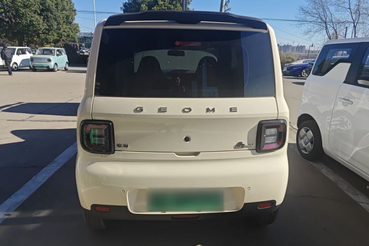 Used  Panda 2025 210 km – Yuanqi Bear