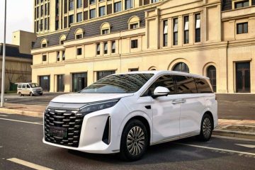 Used BYD Xia 2025 DM-i 1.5T 100km Leading Model