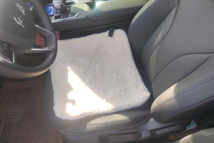 Used Hongqi E-QM5 2023 Revised Version Basic Travel Edition
