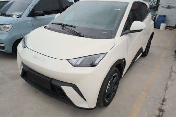 Used BYD Seagull 2024 Honor Edition 305km Freedom Version