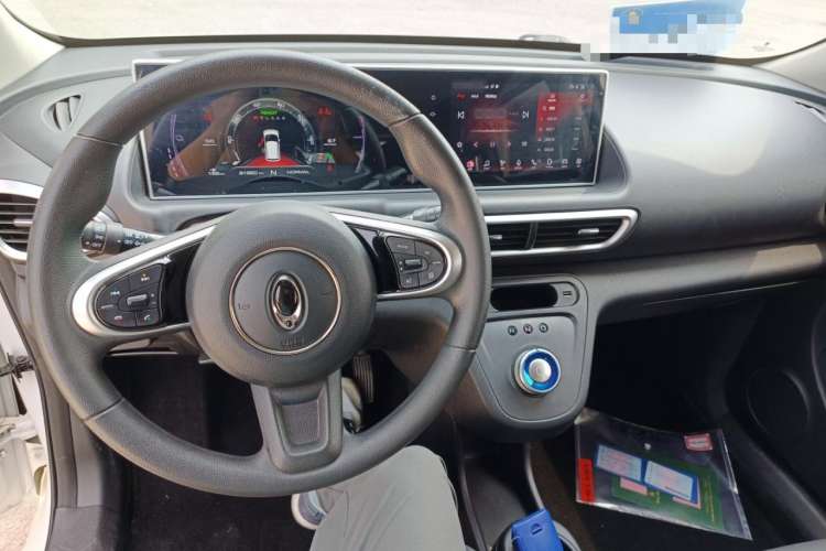 Used ORA White Cat 2020 401 km Flagship Version
