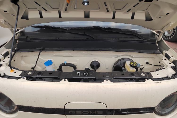 Used  Panda 2025 210 km – Yuanqi Bear
