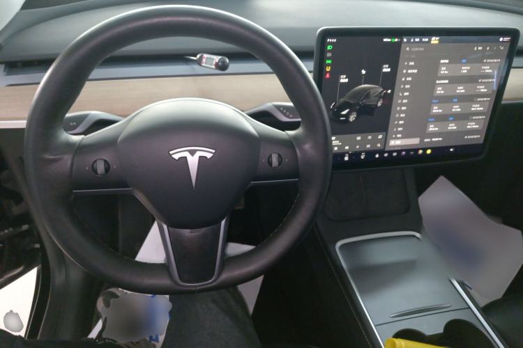 Used Tesla Model Y 2021 Standard Range Rear-Wheel Drive Version
