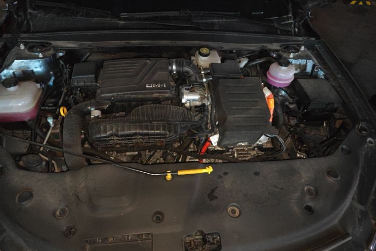 Used BYD Qin PLUS 2024 HONOR Edition DM-i 55KM Leading Model
