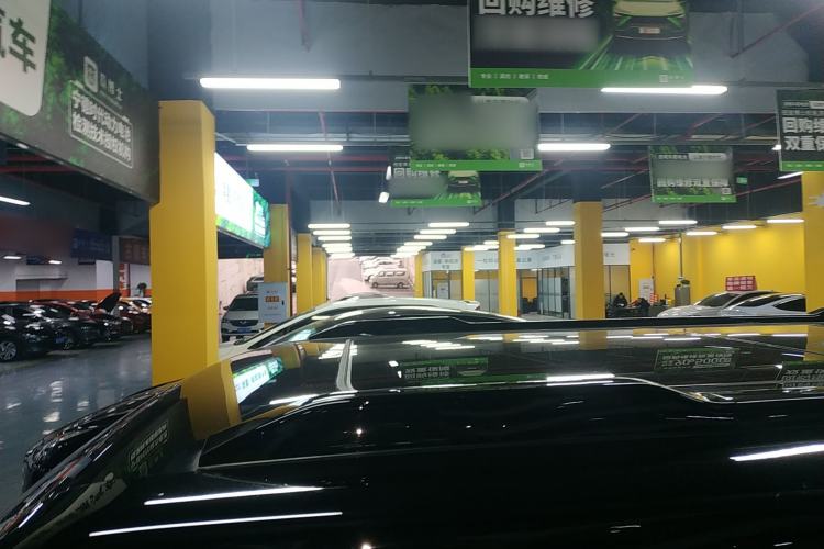 Used  03 2024 501km Two-Wheel Drive Long-Range Version