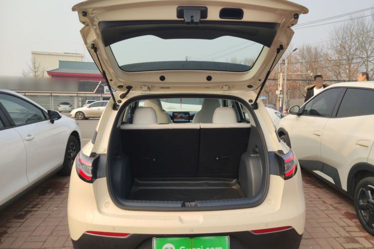 Used  Geome 2025 310km Youth Edition
