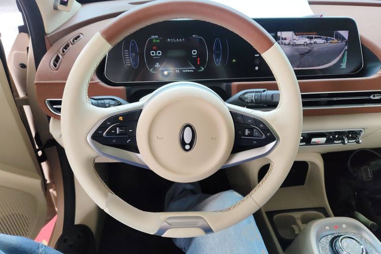 Used ORA Good Cat 2022 Morandi Edition 400km Standard Range Premium Version Lithium Iron Phosphate
