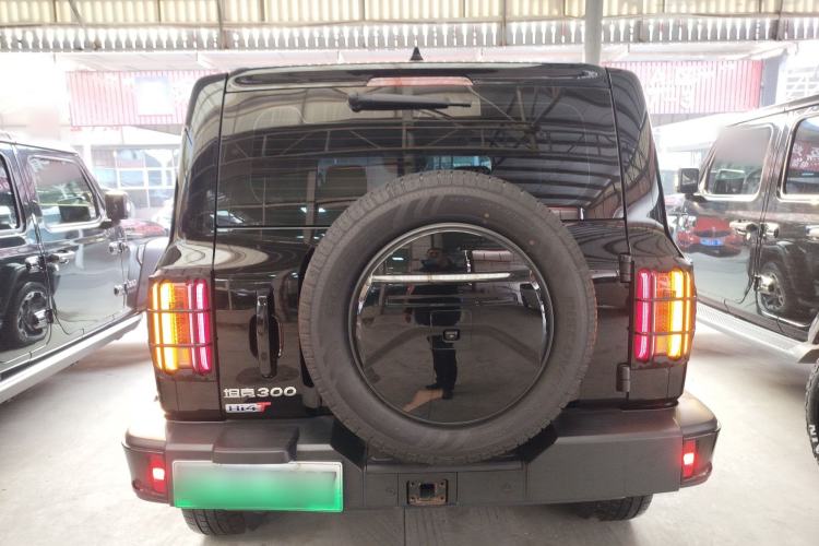 Used Tank 300 New Energy 2024 Hi4-T
