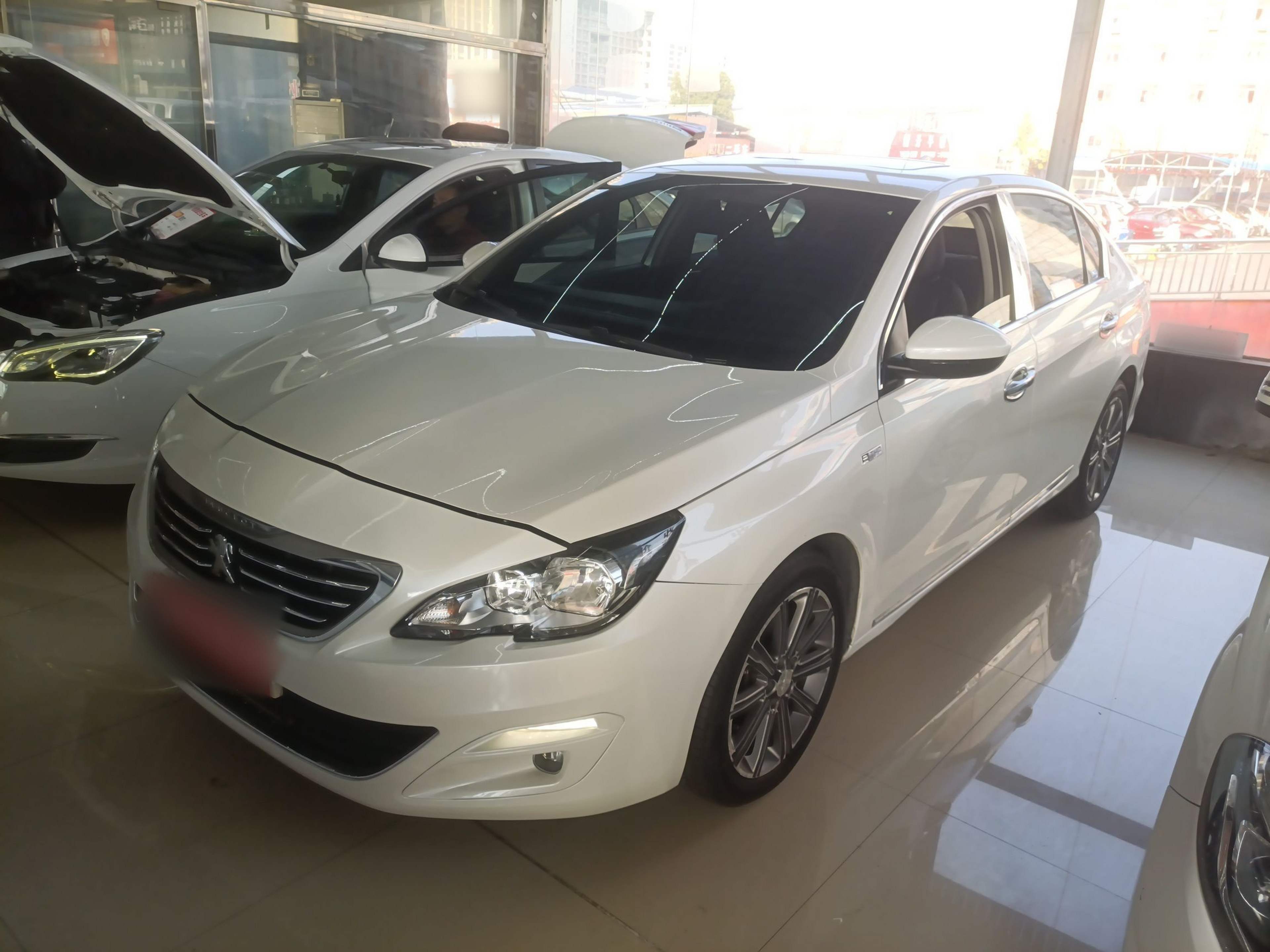 تحت مقدمة السيارة