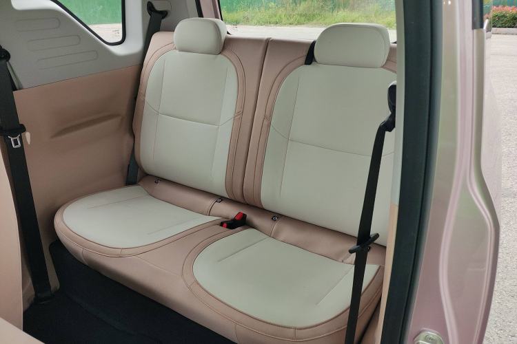 Used  Panda 2024 Panda Mini 200km Longteng PRO Edition
