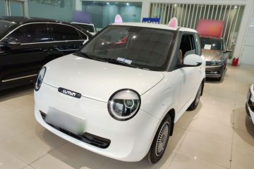 Used Qiyuan Lumin 2024 130km Qingyue Version