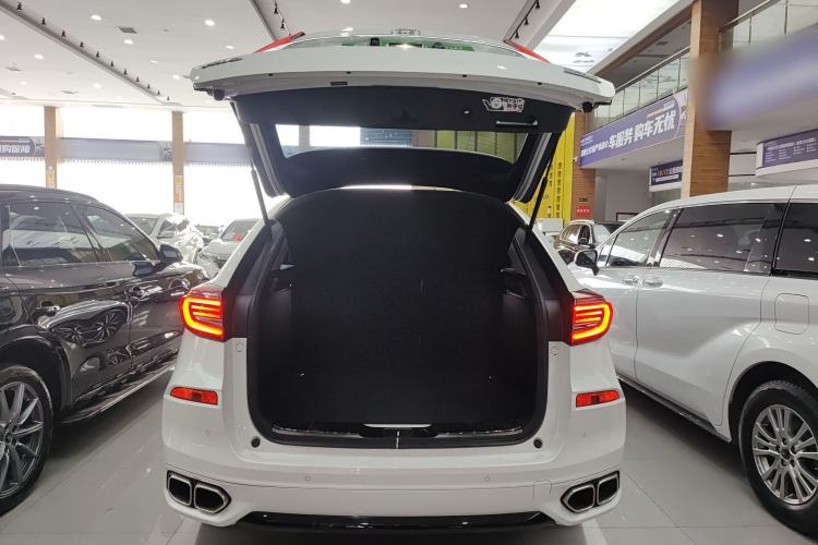 Used Honda Avancier 2020 370TURBO Four-Wheel Drive Premium Edition