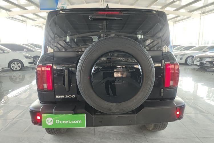 Used Tank 300 2024 2.0T Conqueror