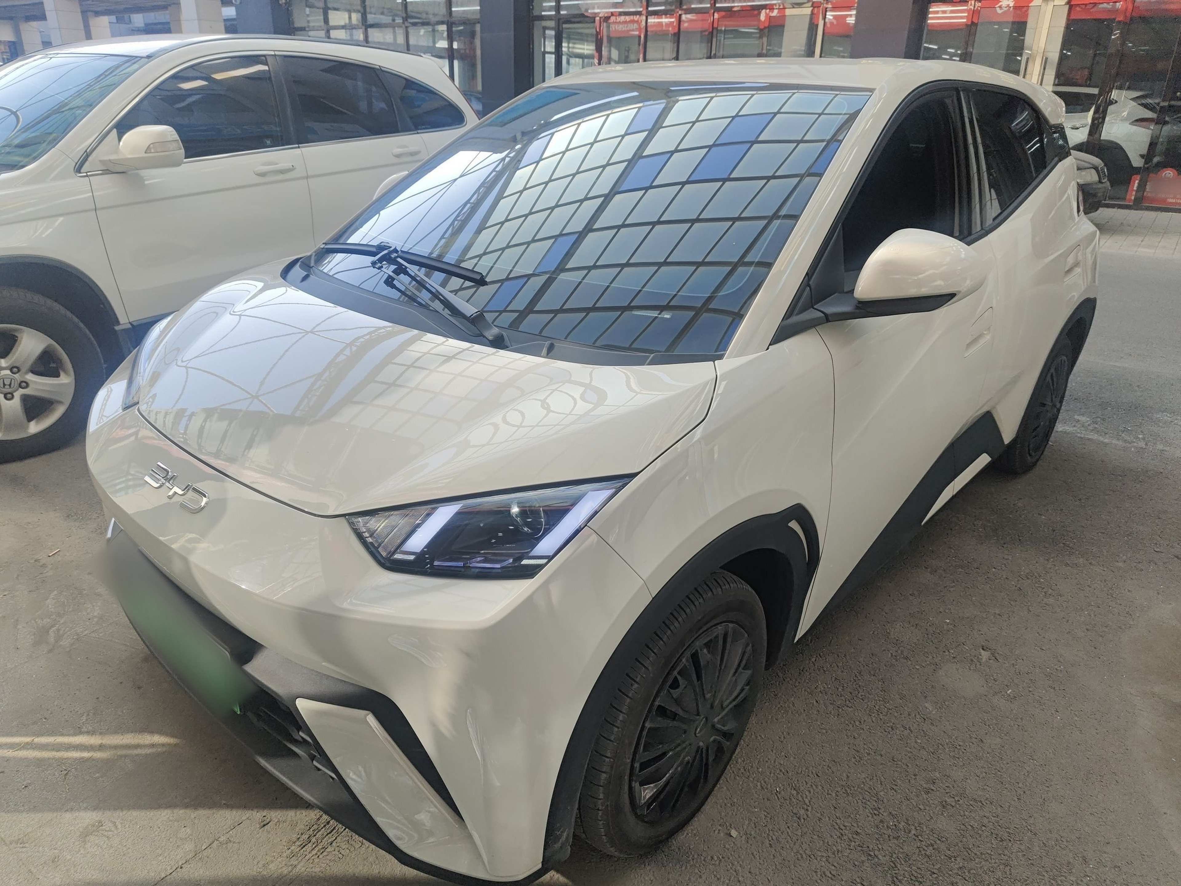 تحت مقدمة السيارة