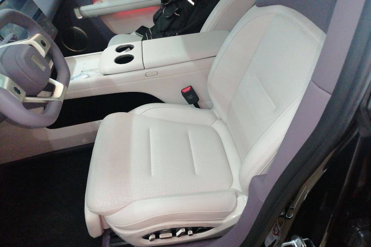 Used  06 2025 Pro Range-Extended Edition
