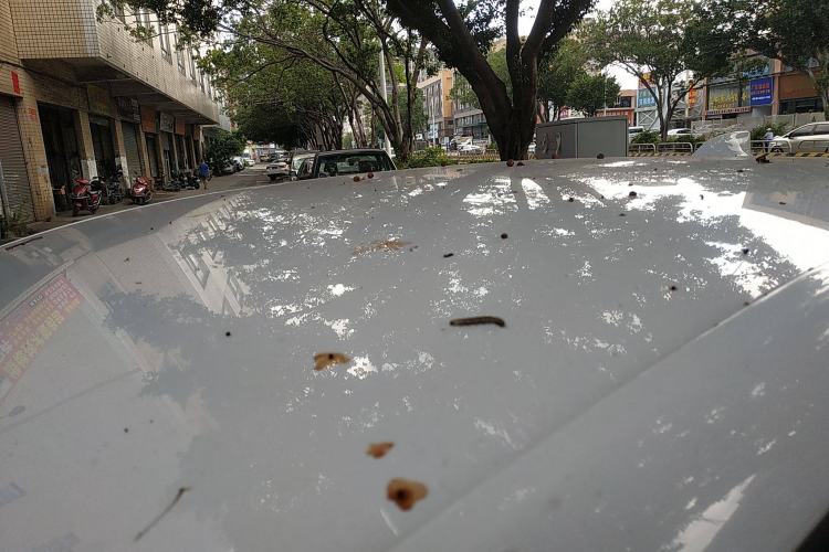 Used Buick GT 2019 15T Dual-Clutch Advanced Version China VI Standard
