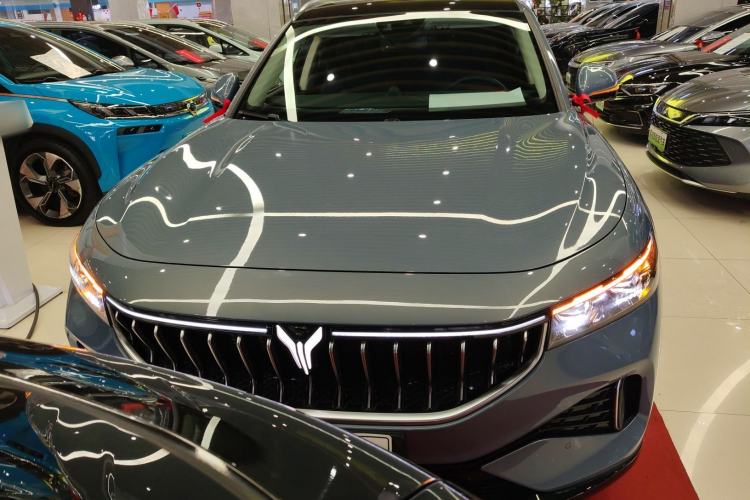 Used VOYAH FREE 2021 Four-Wheel Drive All-Electric First Edition Commemorative Edition Exclusive Luxury Package
