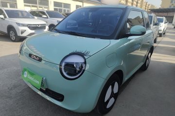 Used Qiyuan Lumin 2025 205 km Xiangqin Version