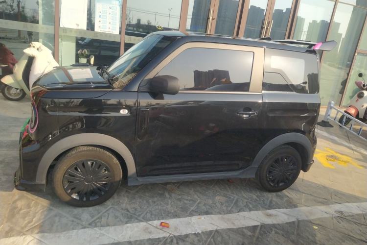 Used  Panda 2024 200km Panda Kart
