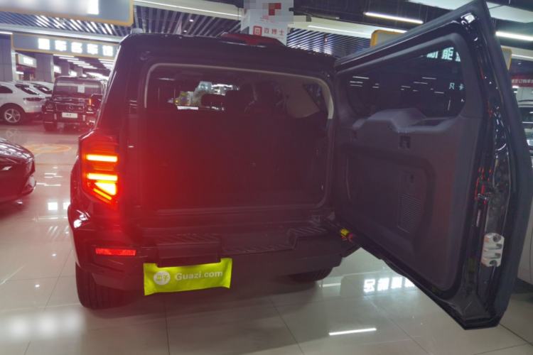 Used Tank 400 2025 2.0T Gasoline Version