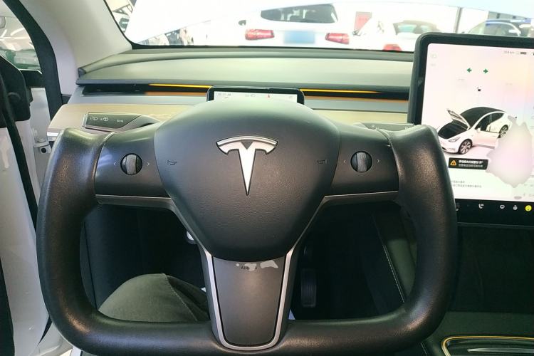 Used Tesla Model Y 2021 Standard Range Rear-Wheel Drive Version
