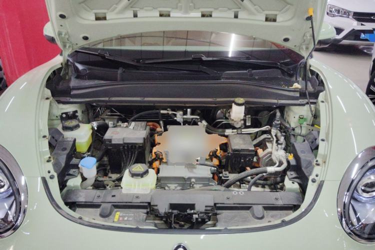 Used ORA Good Cat 2023 401 km Standard Range Luxury Version Lithium Iron Phosphate
