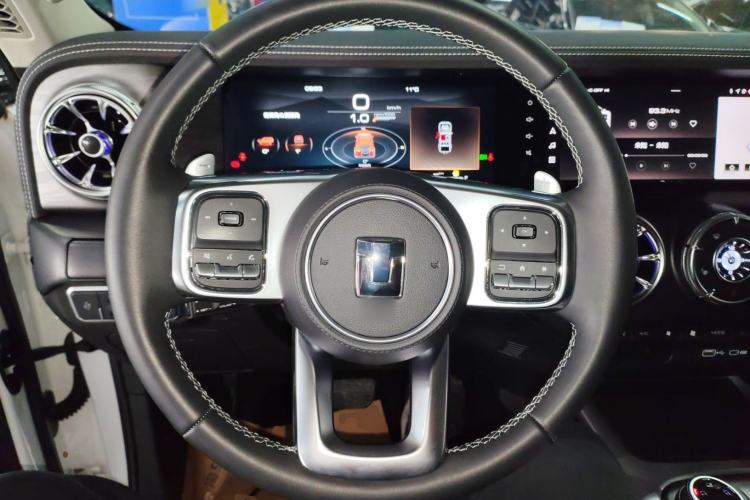 Used Tank 300 2024 2.0T Conqueror
