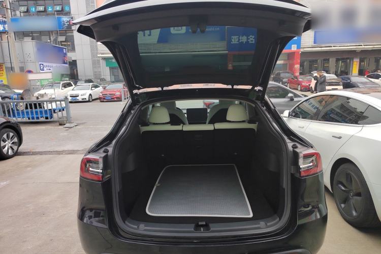 Used Tesla Model Y 2021 Standard Range Rear-Wheel Drive Version
