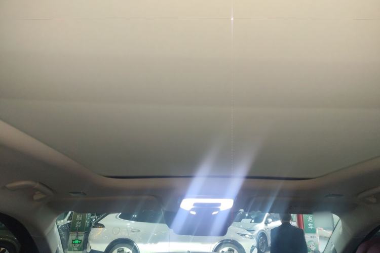 Used Hongqi E-HS9 2021 460 km Range Flagship Edition Six-Seater
