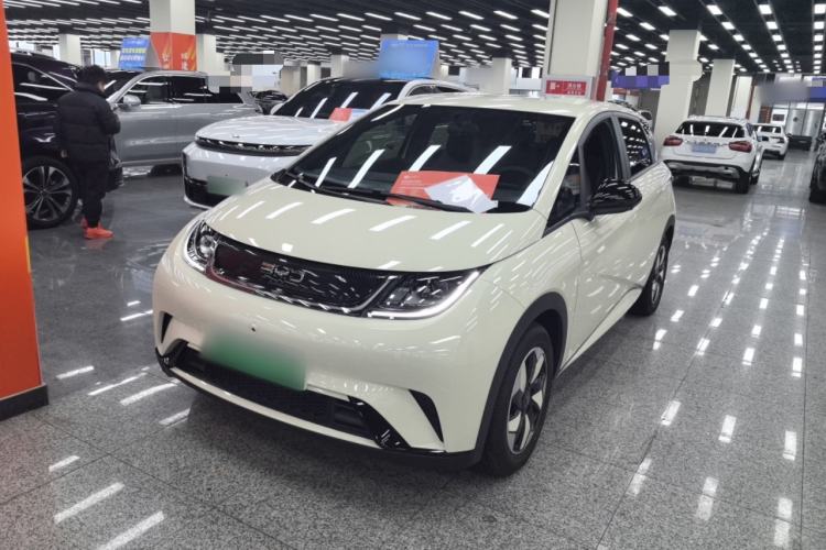Used BYD Dolphin 2025 420km Free Edition