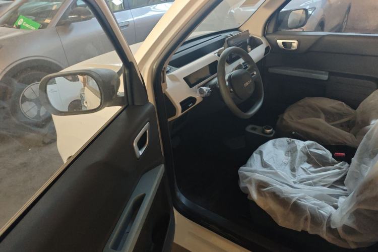 Used  Panda 2024 Panda Mini 200km Endurance Bear