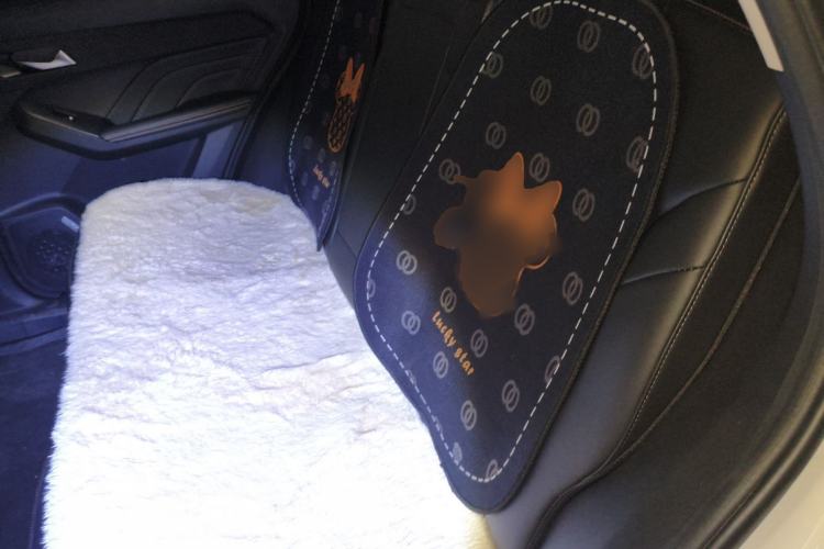 Used Haval LHERY 2022 Jingxiang Edition 1.5T Copper Rabbit
