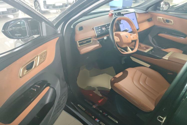 Used NETA X 2024 500 First Edition
