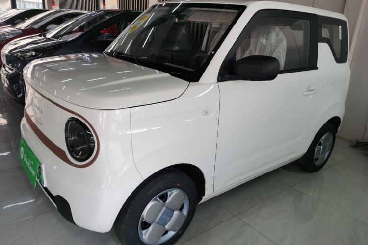 Used  Panda 2024 Panda Mini 200km Endurance Bear
