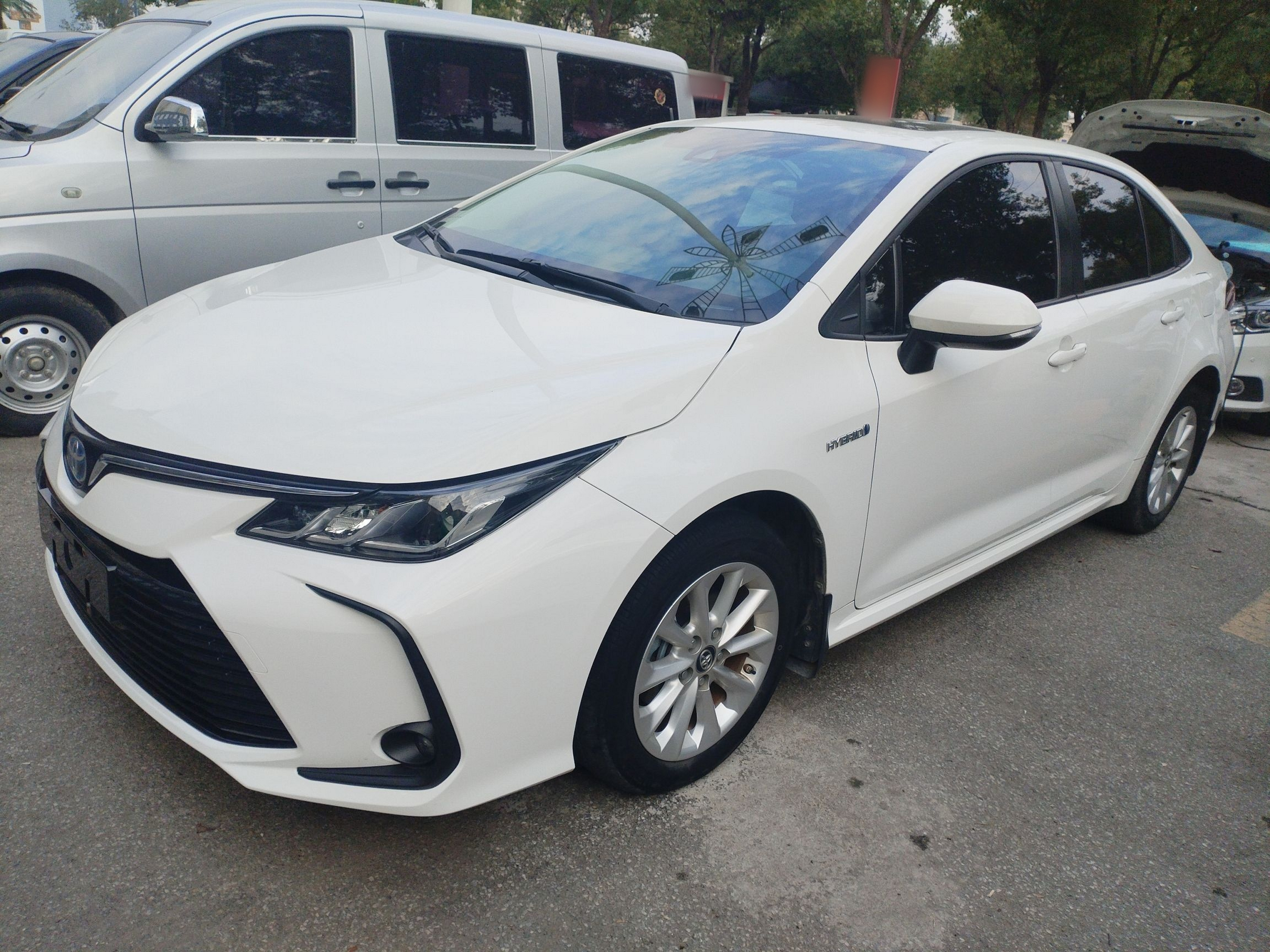 تحت مقدمة السيارة