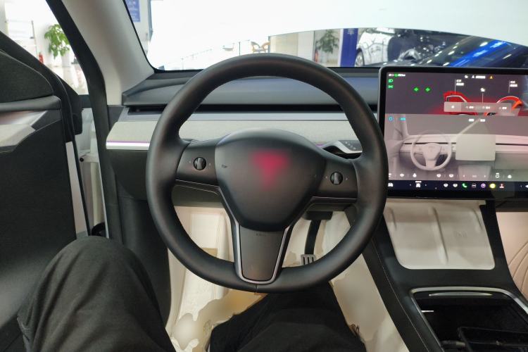 Used Tesla Model Y 2023 High-Performance All-Wheel-Drive Version
