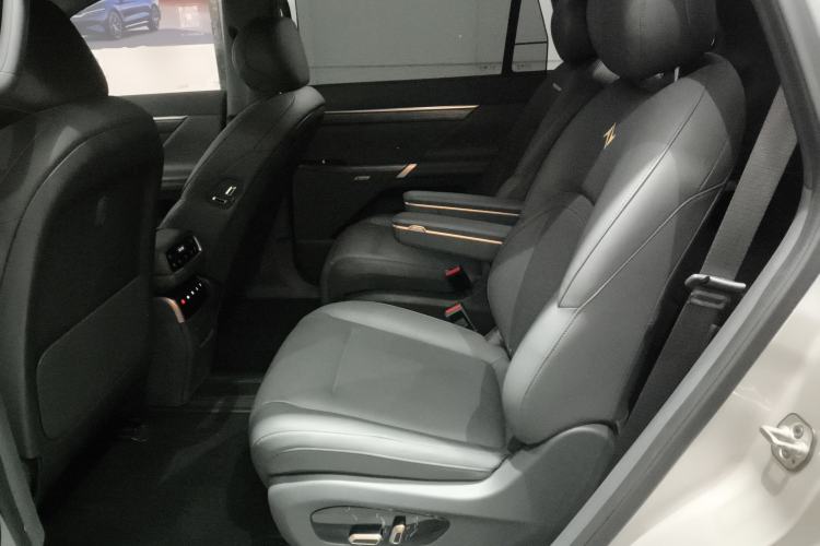 Used  eπ008 2024 210Max Range-Extended Version 6 Seats
