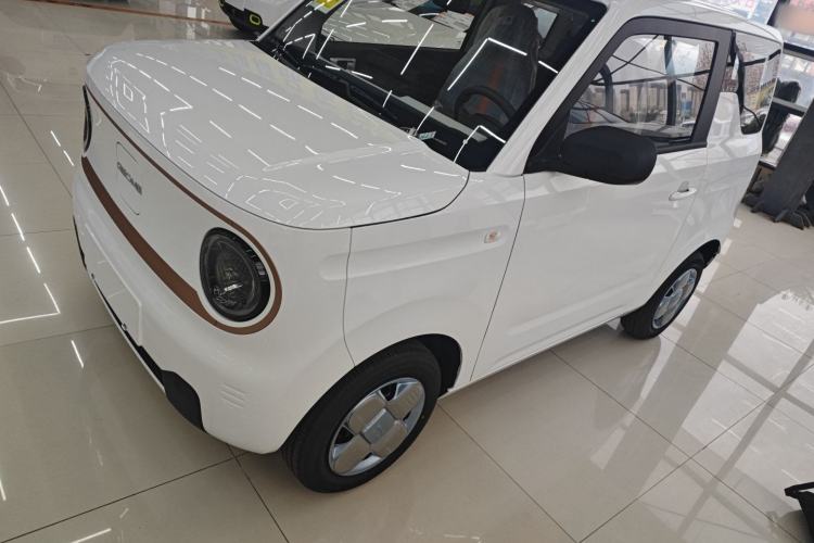 Used  Panda 2024 Panda Mini 200km Endurance Bear
