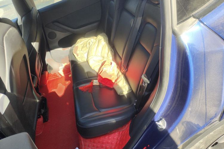 Used Tesla Model Y 2021 Performance High-Performance All-Wheel-Drive Version