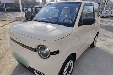 Used Geely Galaxy Panda 2025 210 km – Yuanqi Bear