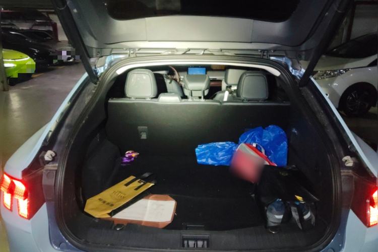 Used Ford Mustang Mach-E 2021 Leap Edition Rear-Drive Version (Standard Range)