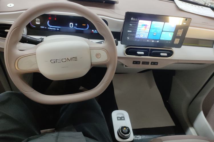 Used  Panda 2025 210 km – Yuanqi Bear
