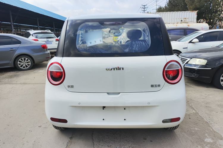 Used  Lumin 2025 205 km Xiangqin Version

