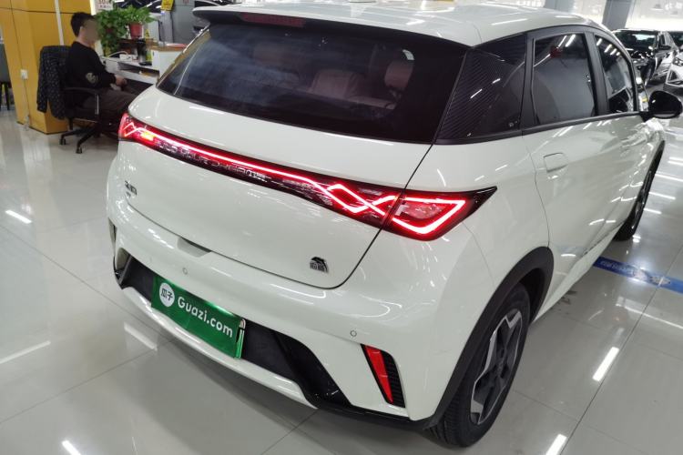 Used BYD Dolphin 2021 405 km Free Version
